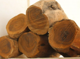 Как высушить древесину в домашних условиях